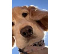 Paws & Thoughts: A Dog Lover’s Notebook for Daily Notes, Doodles, and Dreams: Cute Lined Journal for Dog Moms, Dog Dads & Pet Lovers - 200 Pages, 6x9