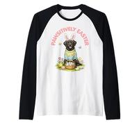 Pawsitively Easter Labrador Retriever Orecchie da Coniglio Uova Primavera Maglia con Maniche Raglan