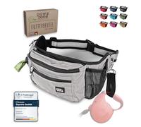 PAWZONE Sacchetto per cibo per cani - Sacchetto per cani - Marsupio per cani - Borsa per cani - Tasca per cani - Include nastro riflettente e cintura aggiuntiva per fili flessibili (grigio argento)