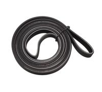 Paxanpax Cinghia di trasmissione PLD791 per asciugatrice AEG T8DEC946R; Zanussi ZDC8202P - 1971H7