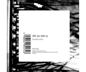Pay Money to My Pain - After You Wake Up [Import]