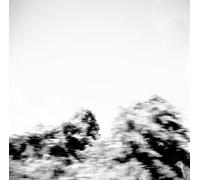 Pay Money to My Pain - Pictures [Import]