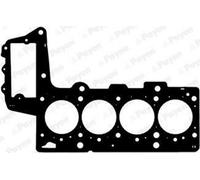 PAYEN AC5431 Guarnizione testata