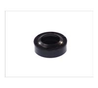 PAYEN AE ITALIA GP043.605 Elring,