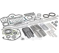 PAYEN AE ITALIA GP061.590 Elring,