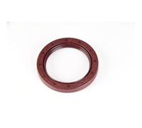 PAYEN AE ITALIA GP076.220 Elring,