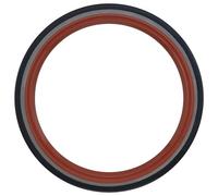PAYEN AE ITALIA GP311.898 Elring,