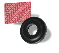 PAYEN AE ITALIA GP436.010 Elring,