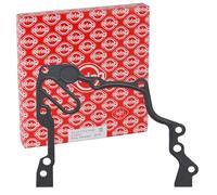 PAYEN AE ITALIA GP447.651 Elring,