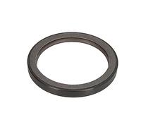 PAYEN AE ITALIA GP453.930 Elring,