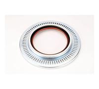 PAYEN AE ITALIA GP473.310 Elring,
