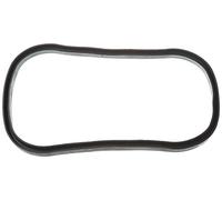 PAYEN AE ITALIA GP514.820 Elring,