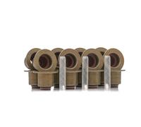 PAYEN AE ITALIA GP530.070 Elring,