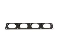 PAYEN AE ITALIA GP530.982 Elring,