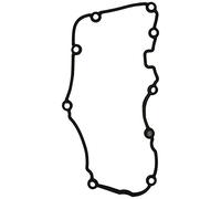 PAYEN AE ITALIA GP554.970 Elring,