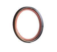 PAYEN AE ITALIA GP590.797 Elring,