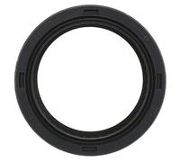 PAYEN AE ITALIA GP598.993 Elring,