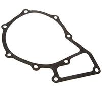 PAYEN AE ITALIA GP804.260 Elring,