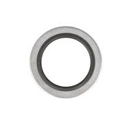 PAYEN AE ITALIA GP804.360 Elring,