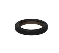 PAYEN AE ITALIA GP903.600 Elring,