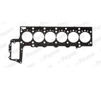 PAYEN AH5940 Guarnizione testata