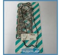 Payen DN622 Kit guarnizioni, Testata