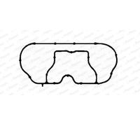 PAYEN Guarnizione Collettore Aspirazione Testata per Ford Ka RB_ 1.3i Fiesta V