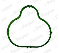 PAYEN Guarnizione Collettore Aspirazione Testata per Opel Corsa C F08 F68 1.2