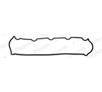 PAYEN Guarnizione Coperchio Testata Inferiore per Citroën Scatola Berlingo M_