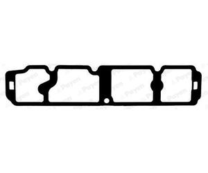 PAYEN Guarnizione Coperchio Testata per Ford Fiesta VI Transit Collegare V408