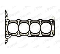 PAYEN Guarnizione Coperchio Testata per Opel Corsa D S07 1.2 1.4 Suzuki Wagon R