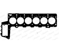 PAYEN Guarnizione Copricasssuo Compatibile Per BMW 5 Serie Touring E39 530d 3.0d