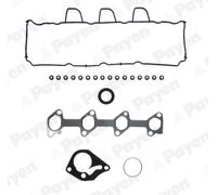 PAYEN Guarnizione Testa Cilindrica per Dacia Duster Js _ Renault Clio IV Bh _