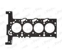 PAYEN Guarnizione Testata Per Fiat Ducato Pritsche Telaio 250 100