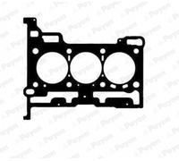 PAYEN Guarnizione Testata per Ford Ecosport Fiesta VII 1.0 Ecoboost Active