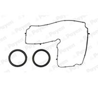 PAYEN HM5369 Kit guarnizioni, Copritestata per CITROËN,FIAT,FORD,JAGUAR,LANCIA,L