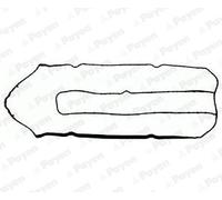 Guarnizione, coperchio testa cilindro PAYEN JM7092
