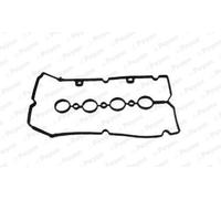 Payen JM7103 Guarnizione per Copritestata