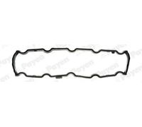 PAYEN JN544 Guarnizione Copritestata per FIAT DUCATO Pritsche/Fahrgestell (230)