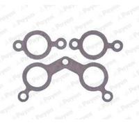 PAYEN Kit guarnizioni Collettore gas scarico HA372 per NISSAN SUNNY II (N13)