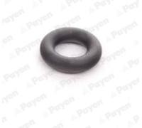 PAYEN LA5252 Anello tenuta, Iniettore