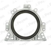 PAYEN LK5006 Paraolio, Albero a gomiti per AUDI,AUDI (FAW),FORD,MULTICAR,SEAT,SK