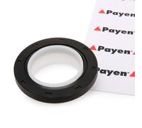 PAYEN NA5191 Paraolio albero a gomiti