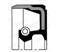 PAYEN NB806 Paraolio, Albero a gomiti per ALFA ROMEO,BEDFORD,CADILLAC,CATERHAM,C