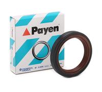 PAYEN NF843 Paraolio albero a gomiti
