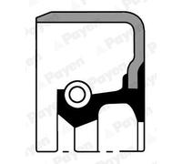PAYEN NJ540 Anello tenuta, Differenziale per MITSUBISHI