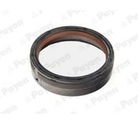PAYEN Paraolio Albero Motore per BMW 3er Compatto E46 316 Ti 318 1er E81