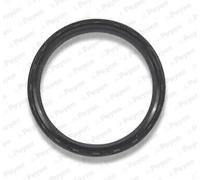 PAYEN Paraolio Albero Motore per BMW X3 F25 xDrive20d xDrive30d E83 2.0d