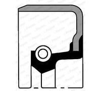 PAYEN Paraolio Albero Motore per Fiat Doblo 119 1.6 16V Stilo 192 192_