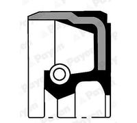 PAYEN Paraolio Albero Motore per VW Lupo 6X1 6E1 1.0 1.7 Sdi Golf I